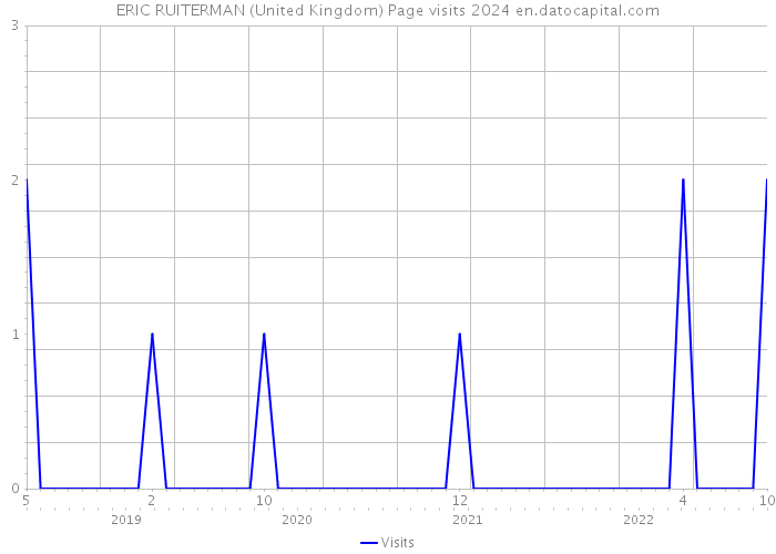ERIC RUITERMAN (United Kingdom) Page visits 2024 