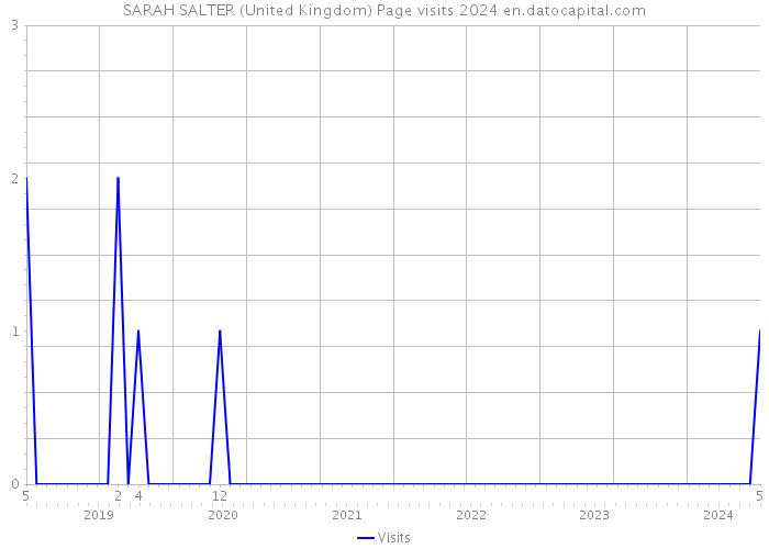 SARAH SALTER (United Kingdom) Page visits 2024 