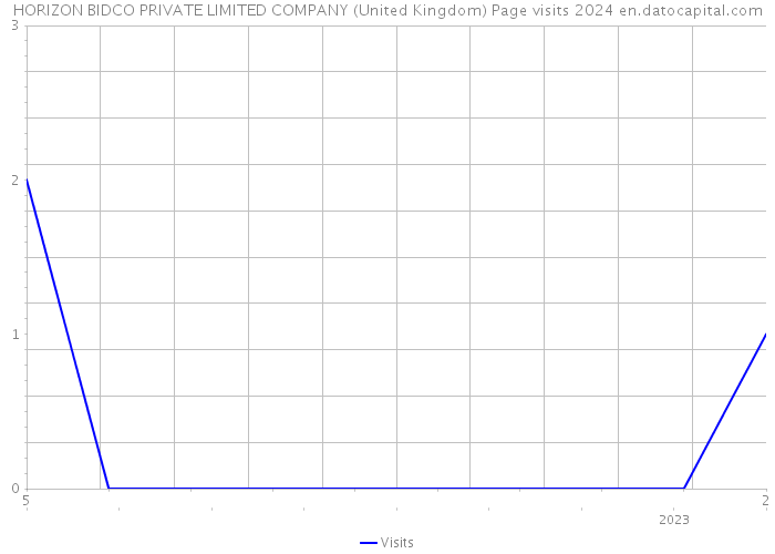 HORIZON BIDCO PRIVATE LIMITED COMPANY (United Kingdom) Page visits 2024 
