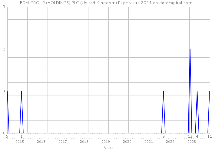 FDM GROUP (HOLDINGS) PLC (United Kingdom) Page visits 2024 