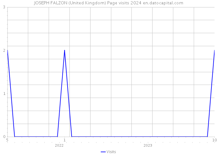 JOSEPH FALZON (United Kingdom) Page visits 2024 