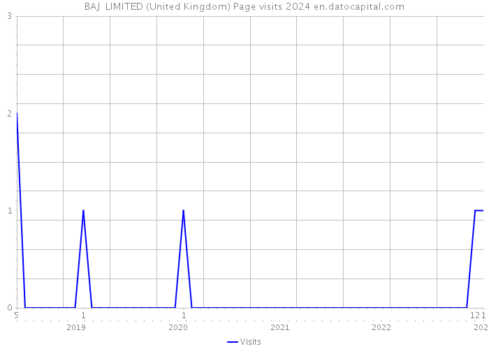 BAJ LIMITED (United Kingdom) Page visits 2024 