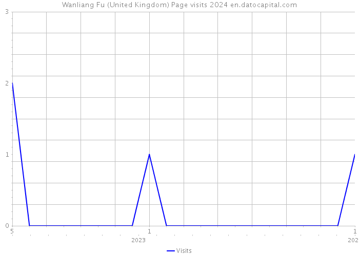 Wanliang Fu (United Kingdom) Page visits 2024 