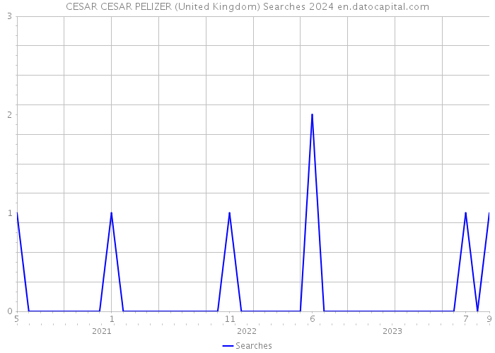 CESAR CESAR PELIZER (United Kingdom) Searches 2024 