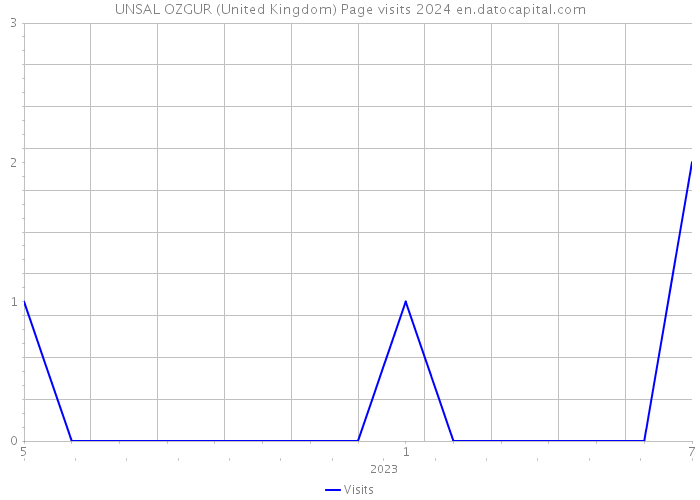 UNSAL OZGUR (United Kingdom) Page visits 2024 