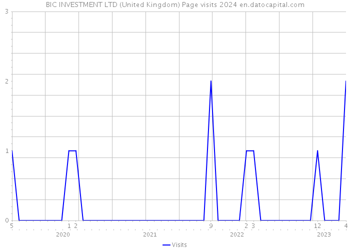 BIC INVESTMENT LTD (United Kingdom) Page visits 2024 