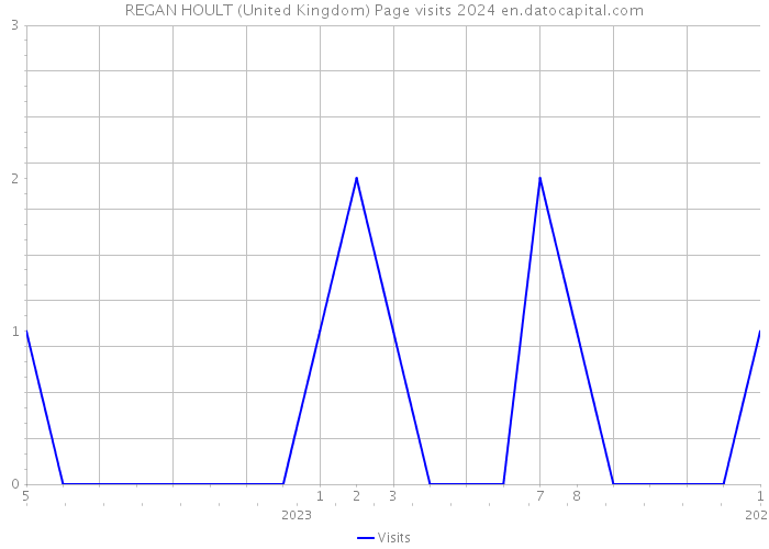 REGAN HOULT (United Kingdom) Page visits 2024 