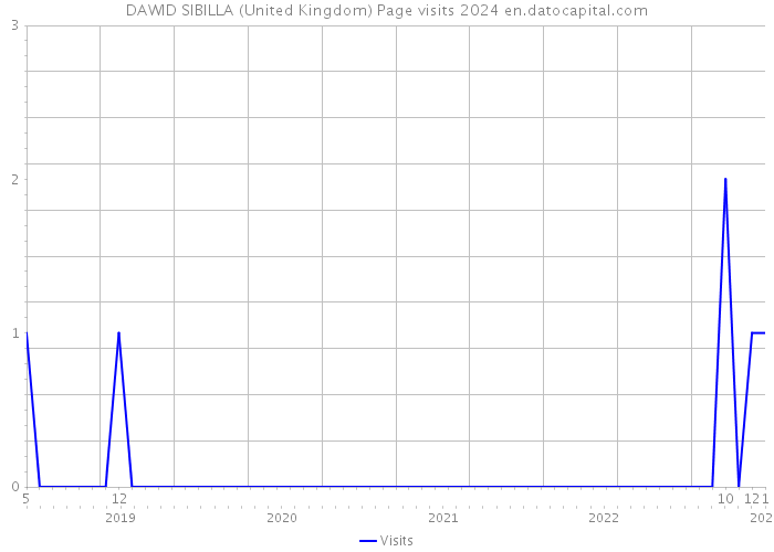 DAWID SIBILLA (United Kingdom) Page visits 2024 