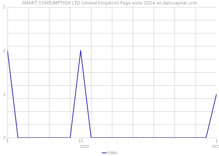 SMART CONSUMPTION LTD (United Kingdom) Page visits 2024 