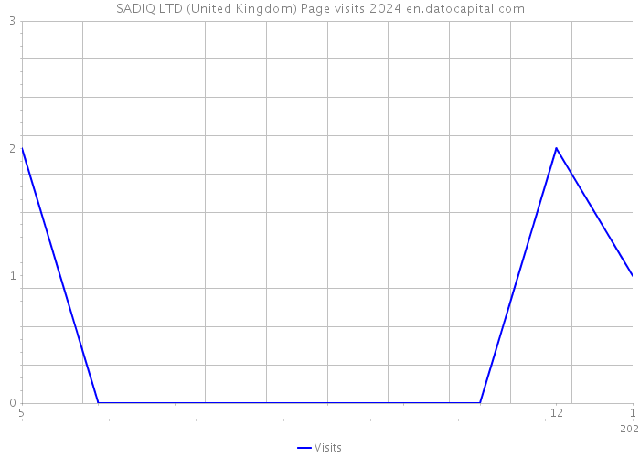 SADIQ LTD (United Kingdom) Page visits 2024 