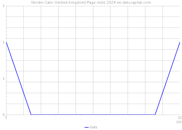Nordin Catic (United Kingdom) Page visits 2024 