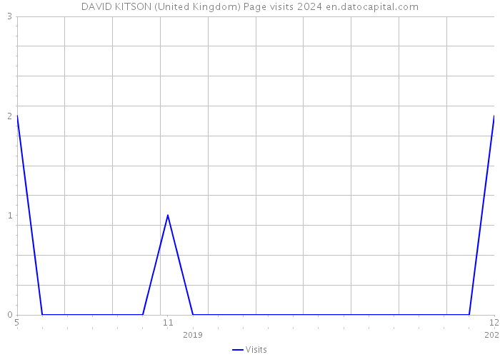 DAVID KITSON (United Kingdom) Page visits 2024 
