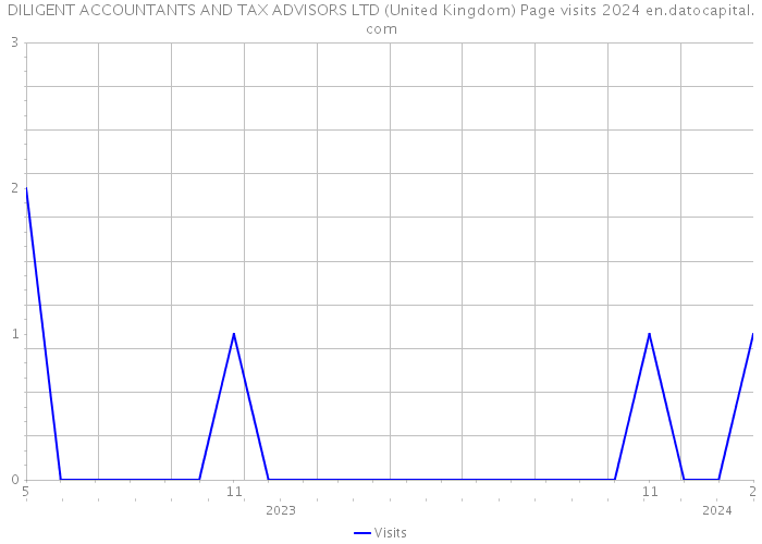 DILIGENT ACCOUNTANTS AND TAX ADVISORS LTD (United Kingdom) Page visits 2024 