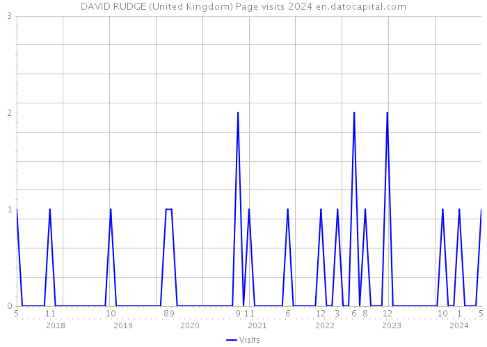 DAVID RUDGE (United Kingdom) Page visits 2024 