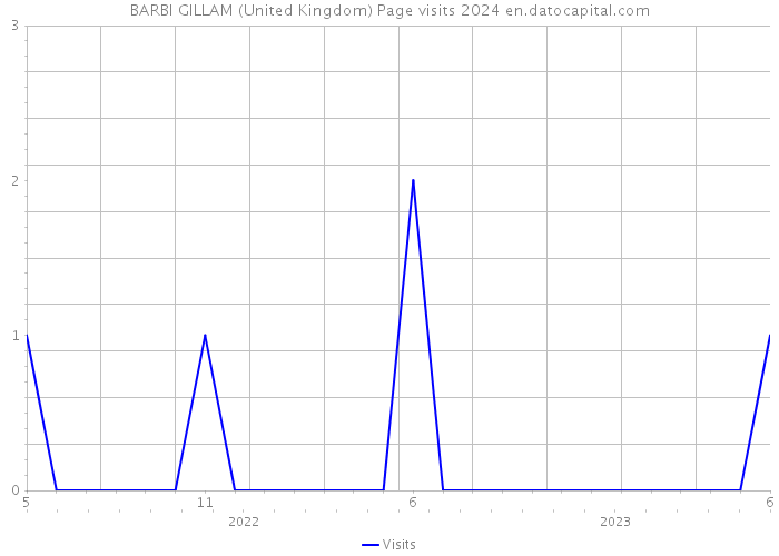 BARBI GILLAM (United Kingdom) Page visits 2024 