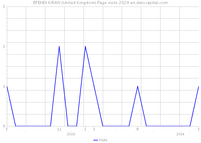 EFENDI KIRAN (United Kingdom) Page visits 2024 