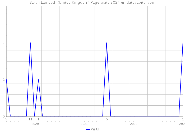 Sarah Lamesch (United Kingdom) Page visits 2024 