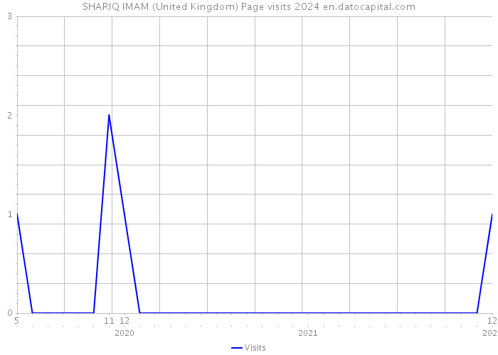 SHARIQ IMAM (United Kingdom) Page visits 2024 