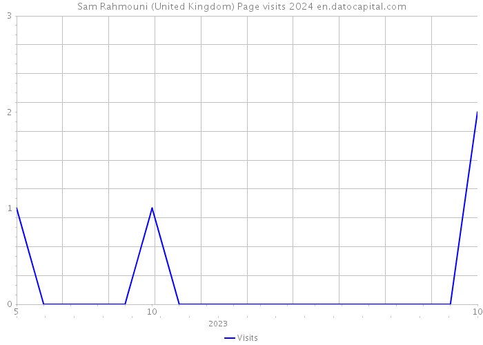 Sam Rahmouni (United Kingdom) Page visits 2024 