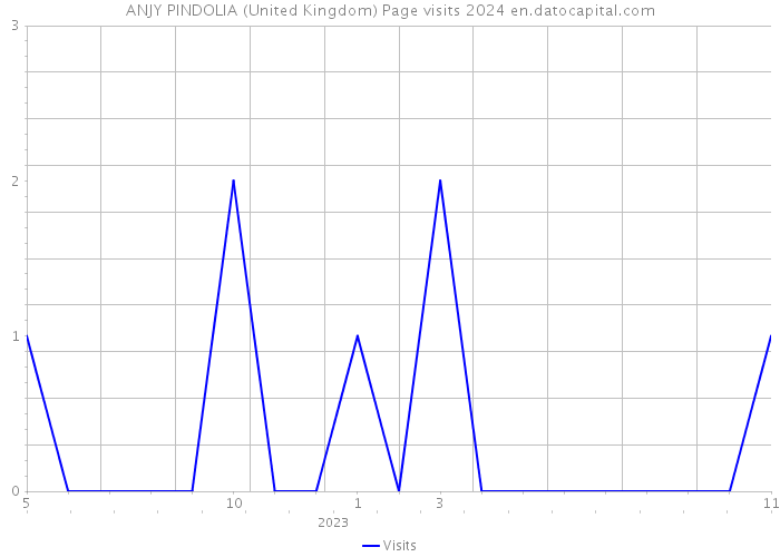 ANJY PINDOLIA (United Kingdom) Page visits 2024 