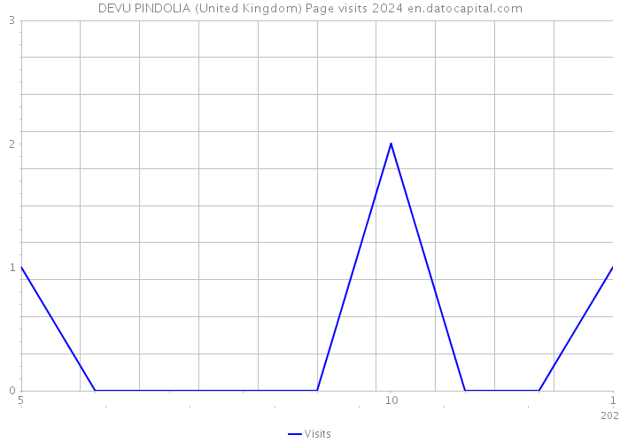 DEVU PINDOLIA (United Kingdom) Page visits 2024 