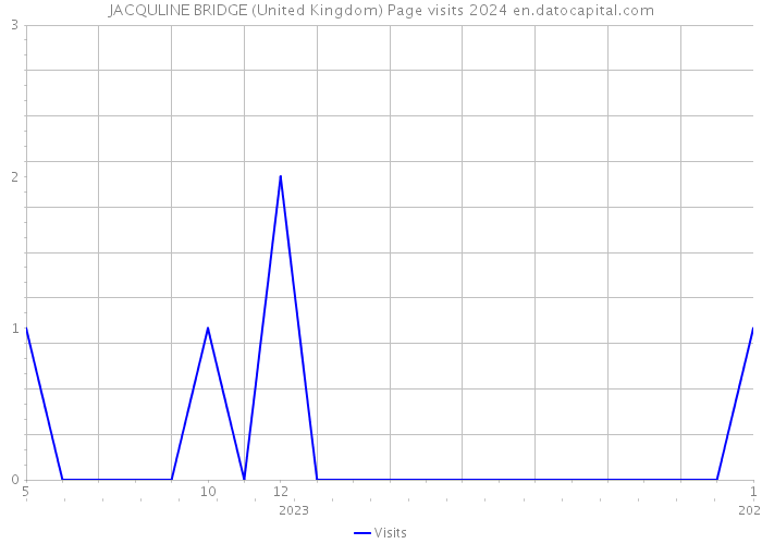 JACQULINE BRIDGE (United Kingdom) Page visits 2024 