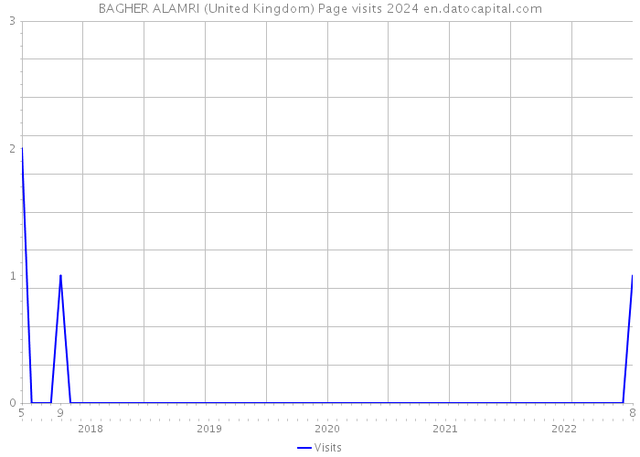 BAGHER ALAMRI (United Kingdom) Page visits 2024 