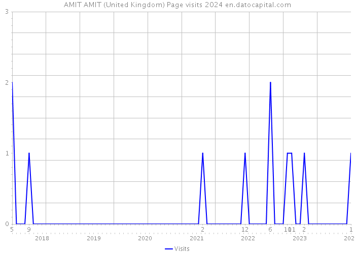 AMIT AMIT (United Kingdom) Page visits 2024 