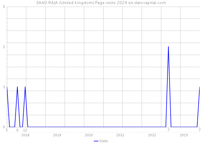 SAAD RAJA (United Kingdom) Page visits 2024 
