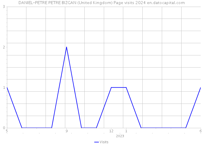 DANIEL-PETRE PETRE BIZGAN (United Kingdom) Page visits 2024 