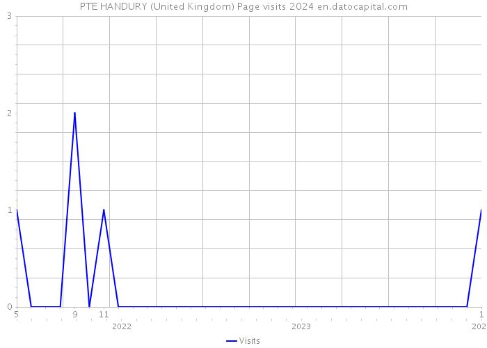 PTE HANDURY (United Kingdom) Page visits 2024 