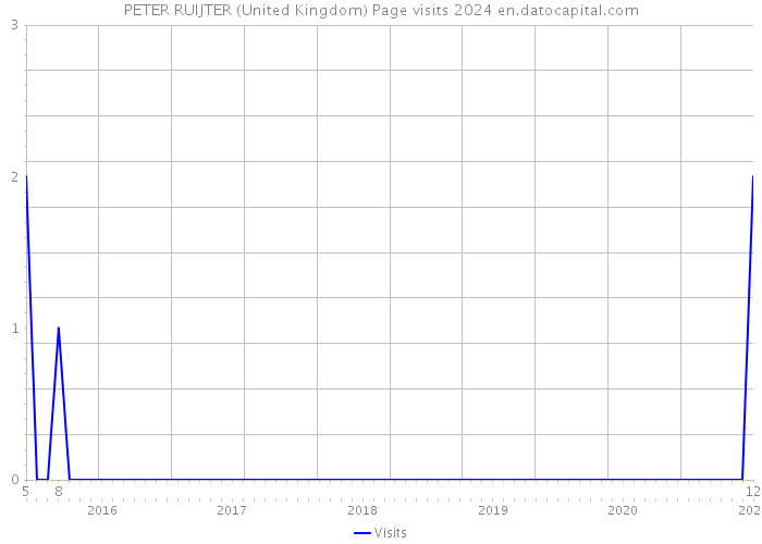 PETER RUIJTER (United Kingdom) Page visits 2024 
