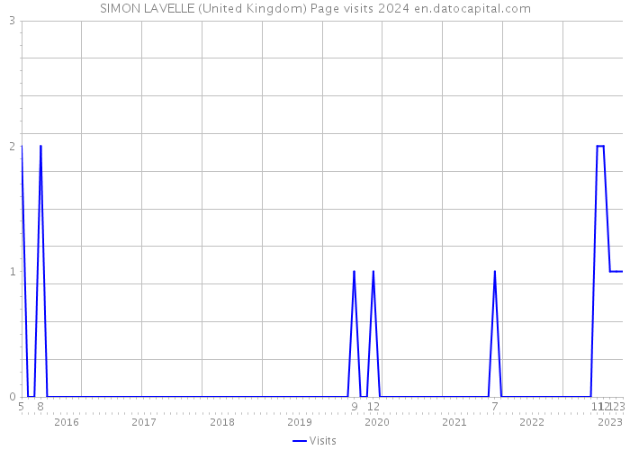 SIMON LAVELLE (United Kingdom) Page visits 2024 