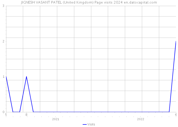 JIGNESH VASANT PATEL (United Kingdom) Page visits 2024 
