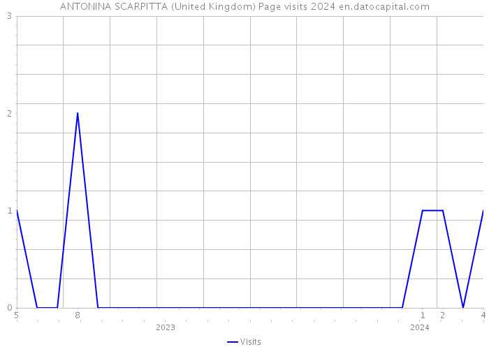 ANTONINA SCARPITTA (United Kingdom) Page visits 2024 