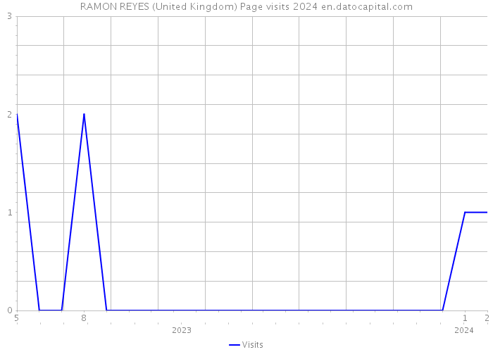RAMON REYES (United Kingdom) Page visits 2024 