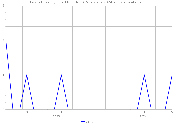 Husain Husain (United Kingdom) Page visits 2024 