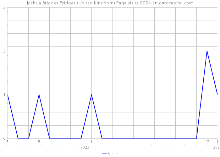 Joshua Bridges Bridges (United Kingdom) Page visits 2024 