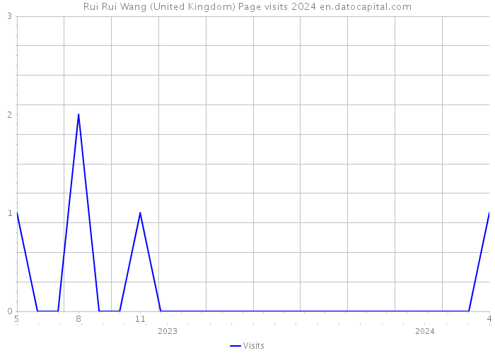 Rui Rui Wang (United Kingdom) Page visits 2024 