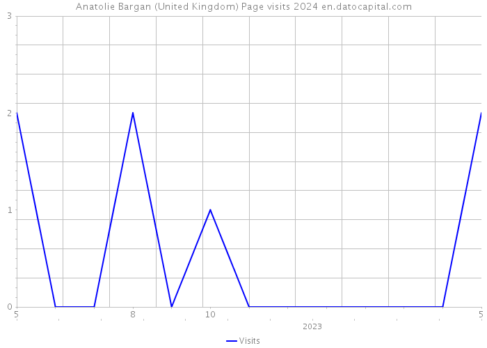 Anatolie Bargan (United Kingdom) Page visits 2024 