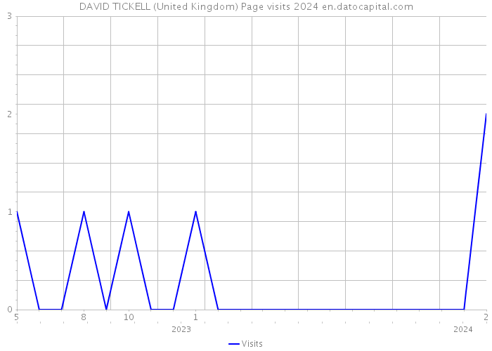 DAVID TICKELL (United Kingdom) Page visits 2024 