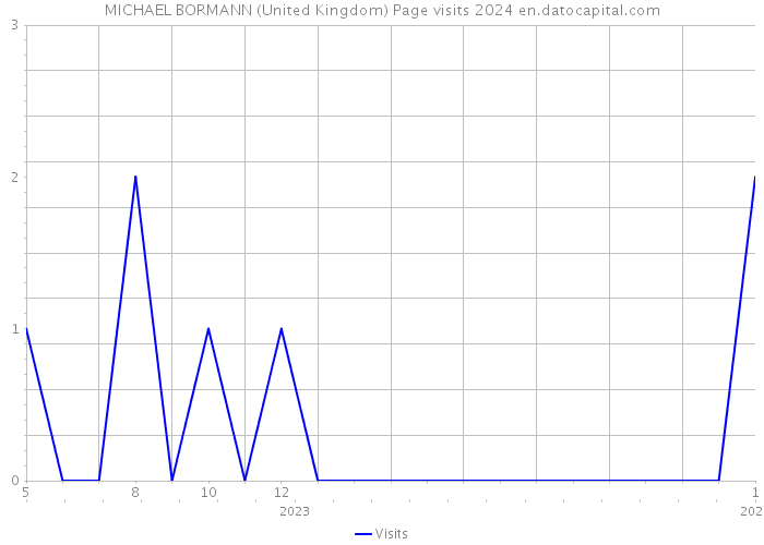 MICHAEL BORMANN (United Kingdom) Page visits 2024 