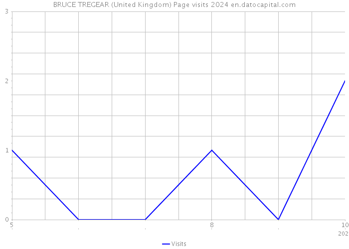 BRUCE TREGEAR (United Kingdom) Page visits 2024 