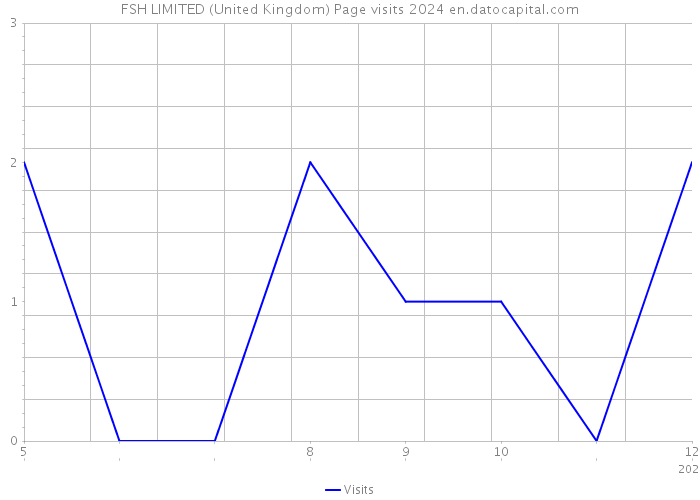 FSH LIMITED (United Kingdom) Page visits 2024 