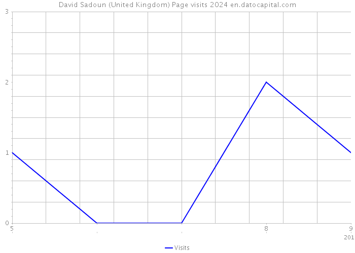 David Sadoun (United Kingdom) Page visits 2024 