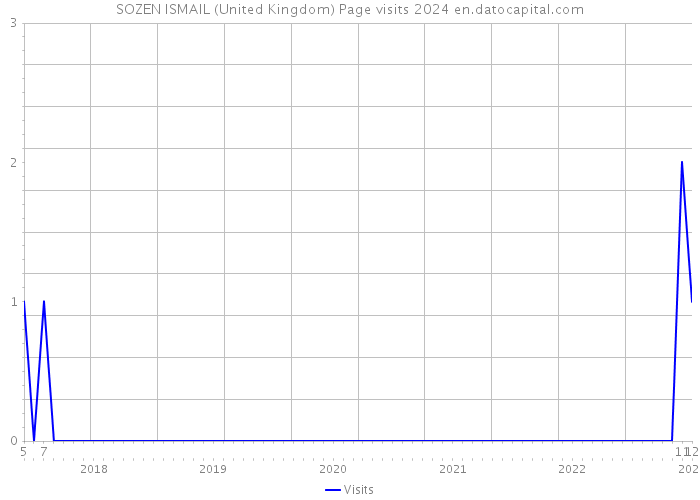 SOZEN ISMAIL (United Kingdom) Page visits 2024 