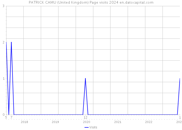 PATRICK CAMU (United Kingdom) Page visits 2024 