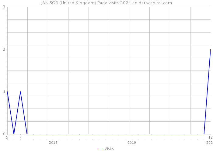 JAN BOR (United Kingdom) Page visits 2024 