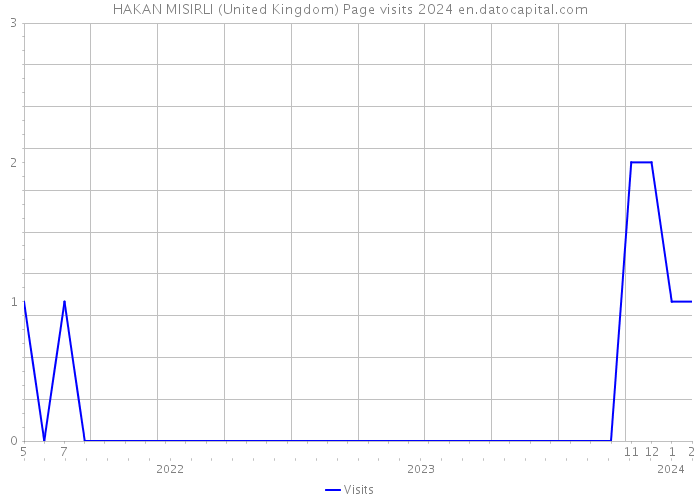 HAKAN MISIRLI (United Kingdom) Page visits 2024 