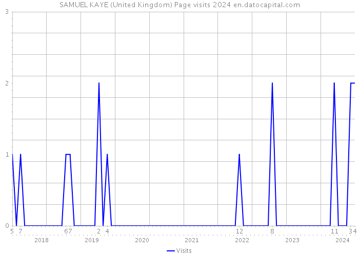 SAMUEL KAYE (United Kingdom) Page visits 2024 